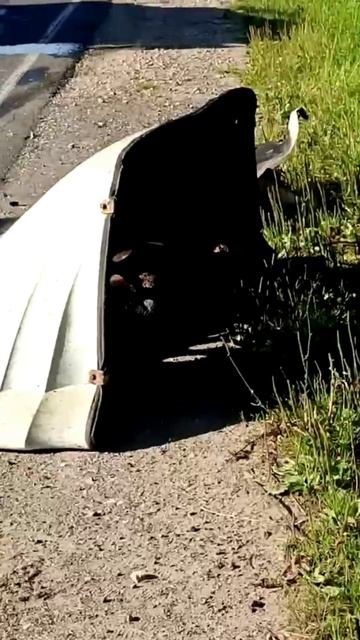 Погибли 3 человека в аварии в деревне Сергеево