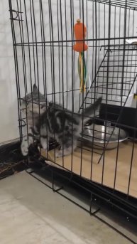 Подпишись 👉 https://vk.com/ykrasheniy_iz_kamny