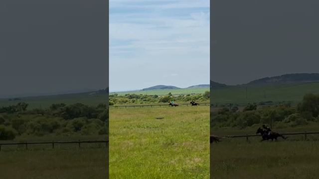 1000005975.mp4