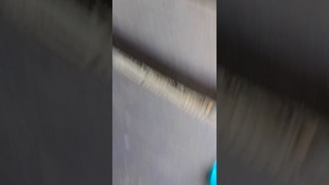 у нас в эфире рачок бокоплав !