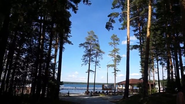 Свадебный клип Максима и Анастасии