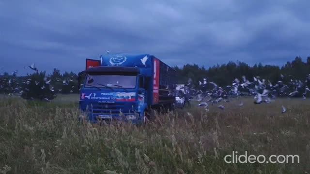 11 гонка. 417 км. Московский регион. Старт 13 июля 2025 года.