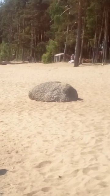 #4321 /16-07-25 г./ На Мысе Флотском, ч.7...