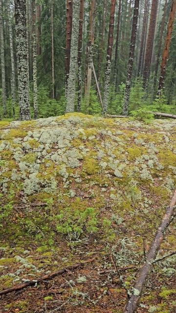 Питкяранта. Ниетъярви. Pitkäranta. Nietjärvi