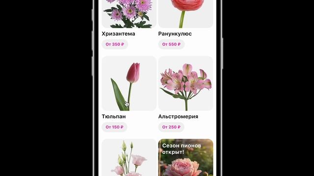 Сценарий 1 (каталог)