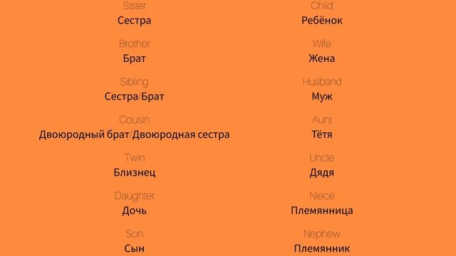 Семья 1 Family 1