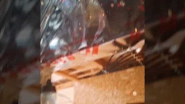 1000029280.mp4 (Собака наблюдает за креплением имитации бруса внутри дома А-фрейм)