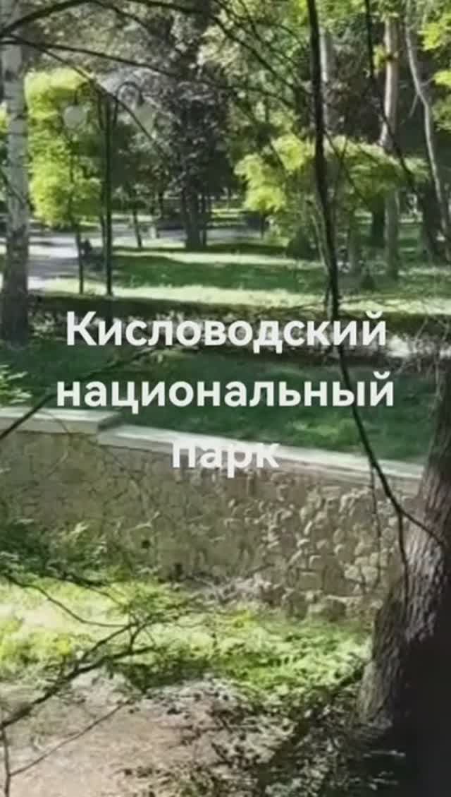 Парк. Кисловодск.