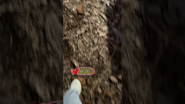 Как в декрете найти время для себя с детьми-погодками? #дети #декрет