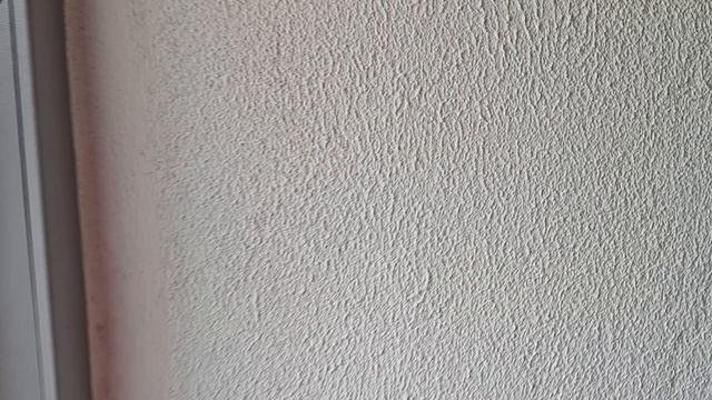 1000042669.mp4