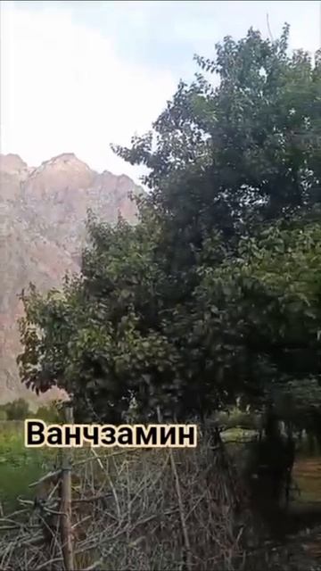 ВАНЧЗАМИН