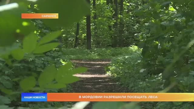 В Мордовии разрешили посещать леса
