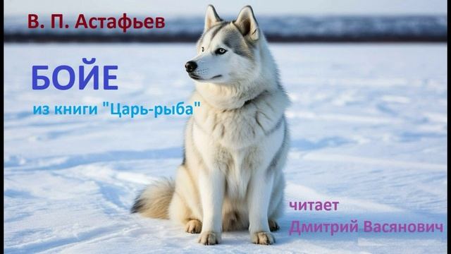 В. П. Астафьев. Бойе (из повести "Царь-рыба"). Читает Д. Васянович