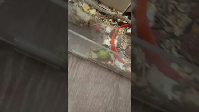 1000006215.mp4