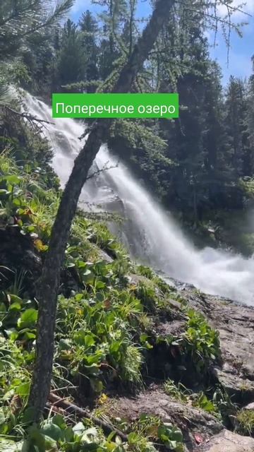 Путешествие к озеру Поперечное. Алтай отдых #озеро