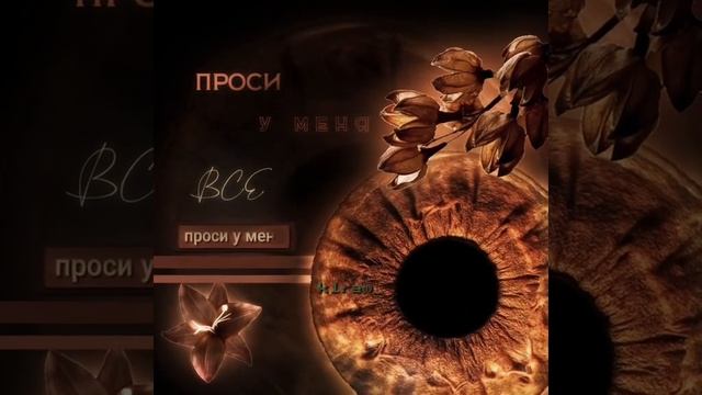 карие глаза 👁️