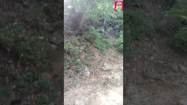 1 сезон. 22 серия. Красные пещеры, долгая горная дорога в пещеру. 🦄🦄🦄🦁🦁🦁