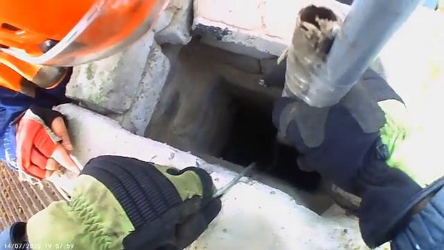 В Красном Селе спасатели из «Кошкиспаса» провели операцию по спасению котят