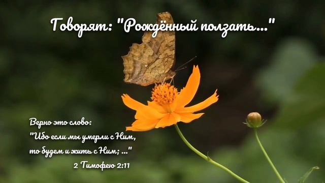 Говорят Рождённый ползать