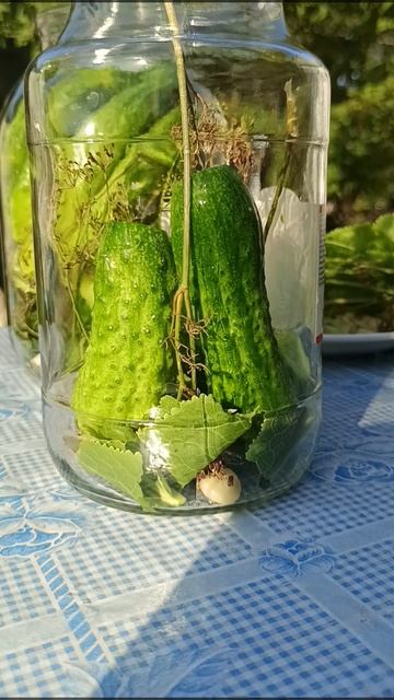 ЗАСОЛКА ОГУРЦОВ В БАНКАХ/ОГУРЦЫ НА ЗИМУ🥒🥒🥒
