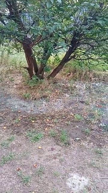 В Волгодонске ЖК «Акварель» затопило фекалиями.