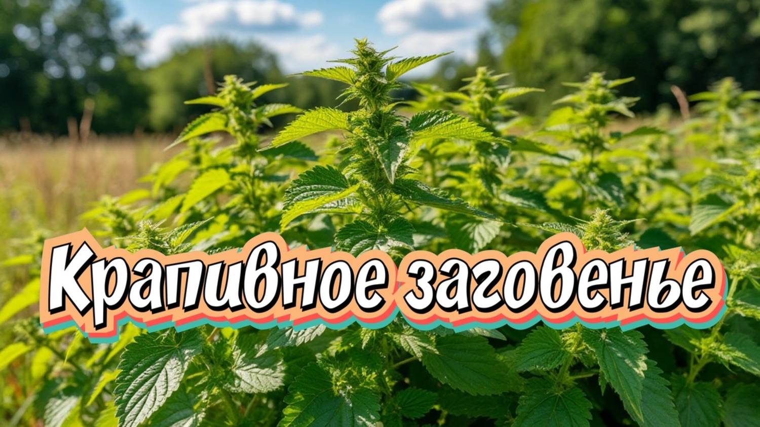 Крапивное заговенье