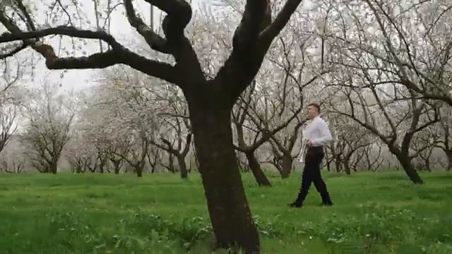 Жок пентру тромпета🎺🎺🎺Музика популарэ молдовеняскэ🔥