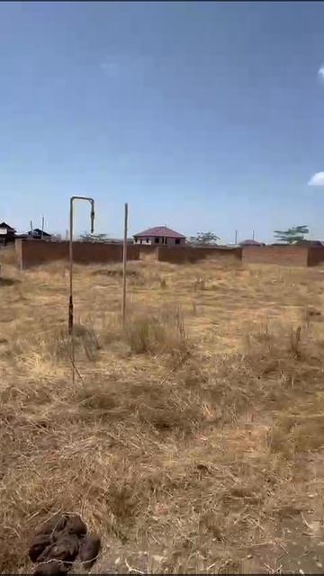 WhatsApp Video 2025-07-16 at 12.40.33
