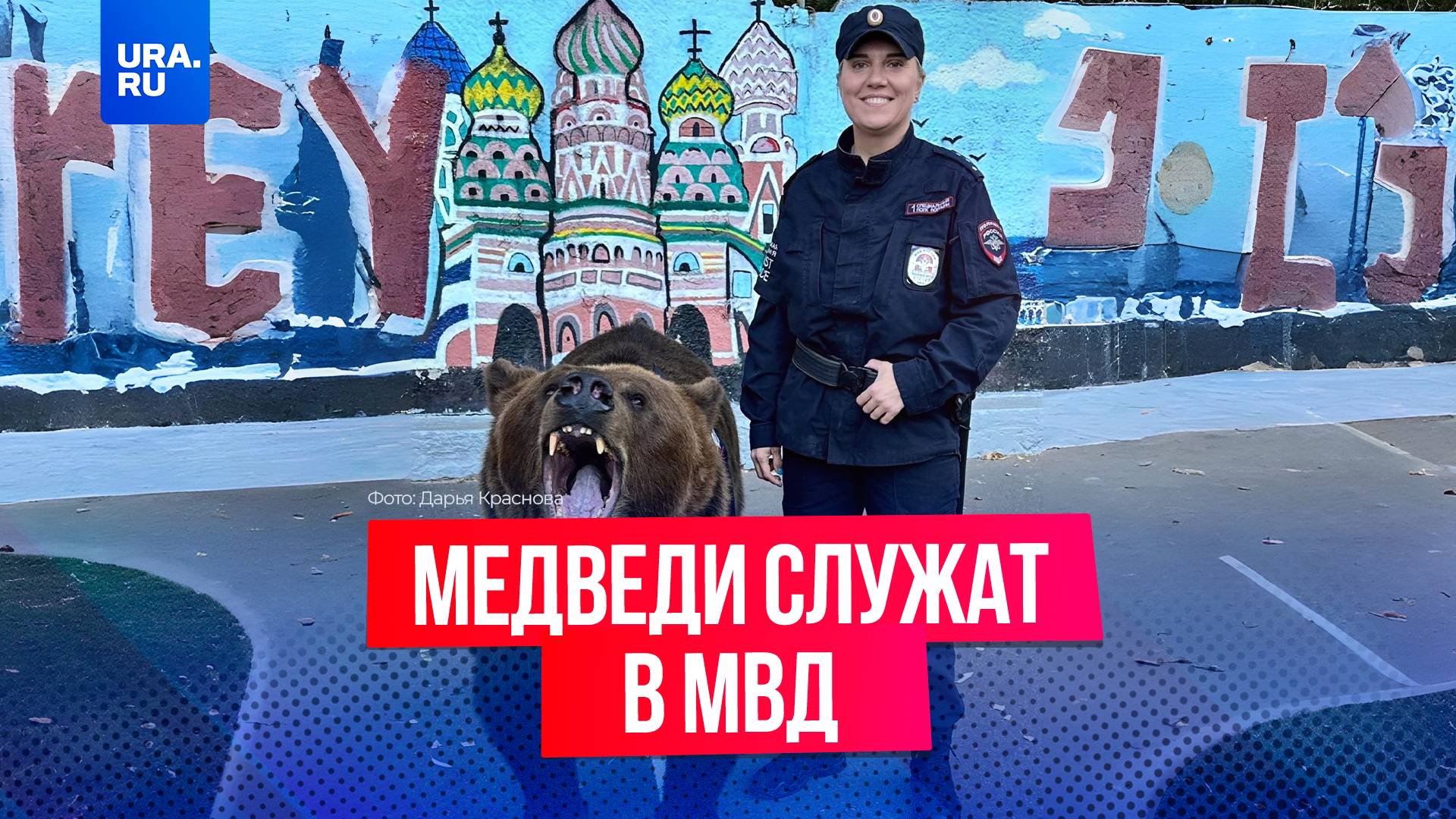 МВД начало использовать медведей вместо конной полиции