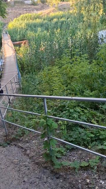 Старый мост в деревне летом