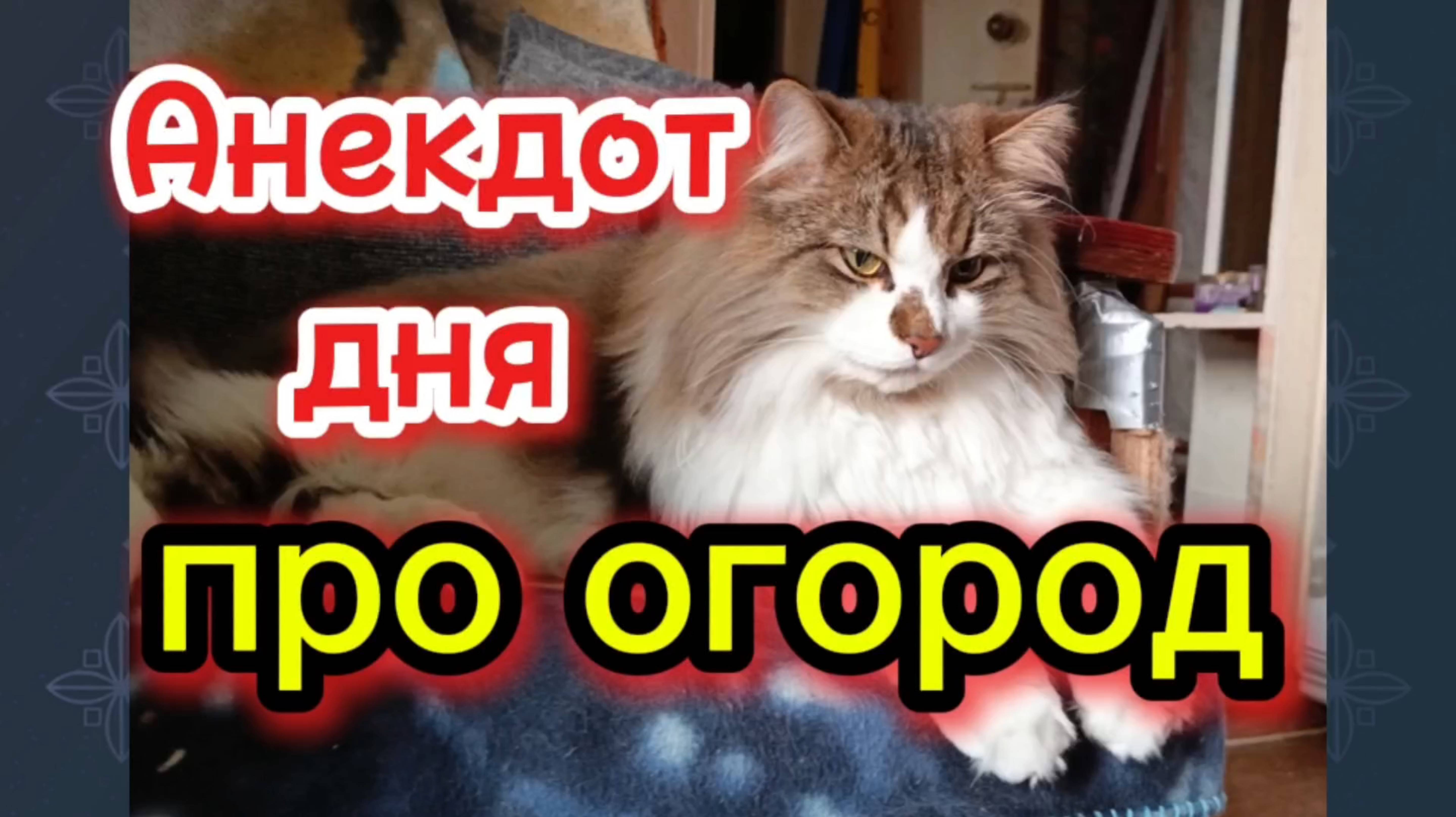 Анекдот дня про огород.