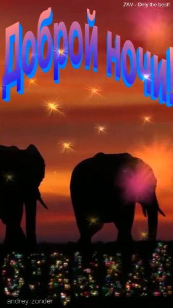 Доброй ночи!) Красивых снов) #добройночи