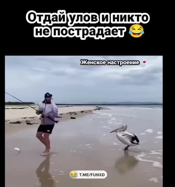 Показал куда класть рыбу😁