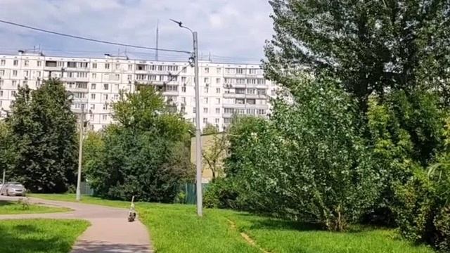 Moscow, Altufyevsky district 09.07.2025
