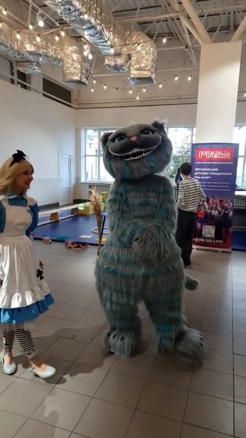 А можно??? #top #funny #добро #котики #краснодар