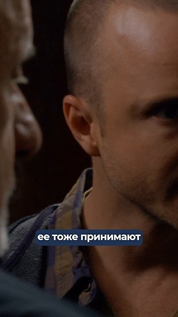 Когда коллектив — Стая 🐺