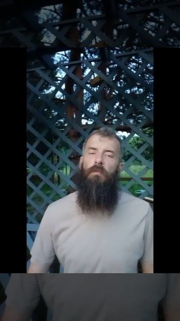 Полярность 62 и 61 ворот