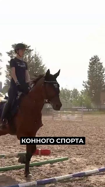 📍В конноспортивном клубе «Купава» подрастает поколение тренеров