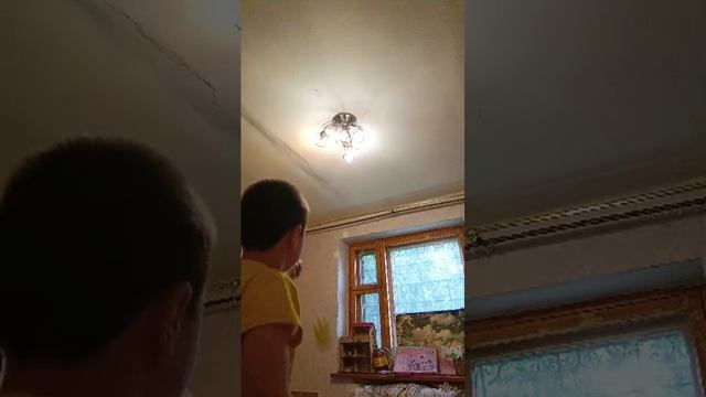 шалан