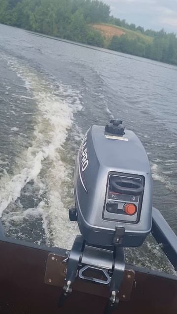 Лодочный мотор SEA PRO T3 S