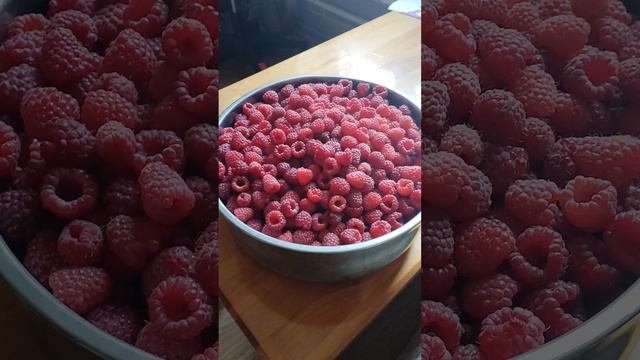 всем привет, ребята, мы сегодня собрали малину.
