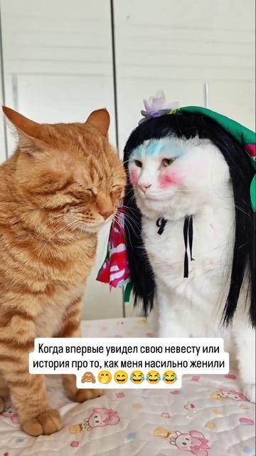 Свадьба