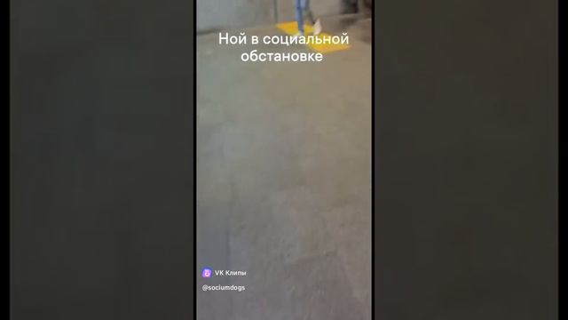 1000117444.mp4