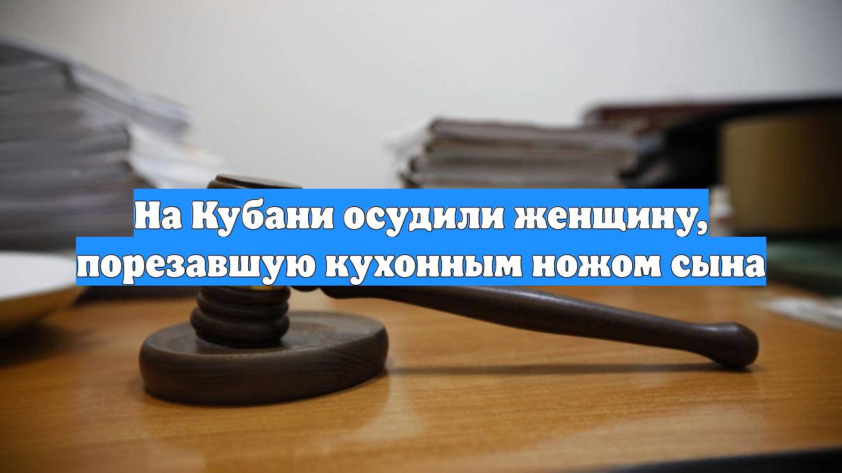 На Кубани осудили женщину, порезавшую кухонным ножом сына