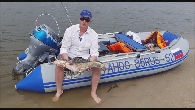 СОМ 5 кг река ОКА троллинг HONDA BF 20 big catfish