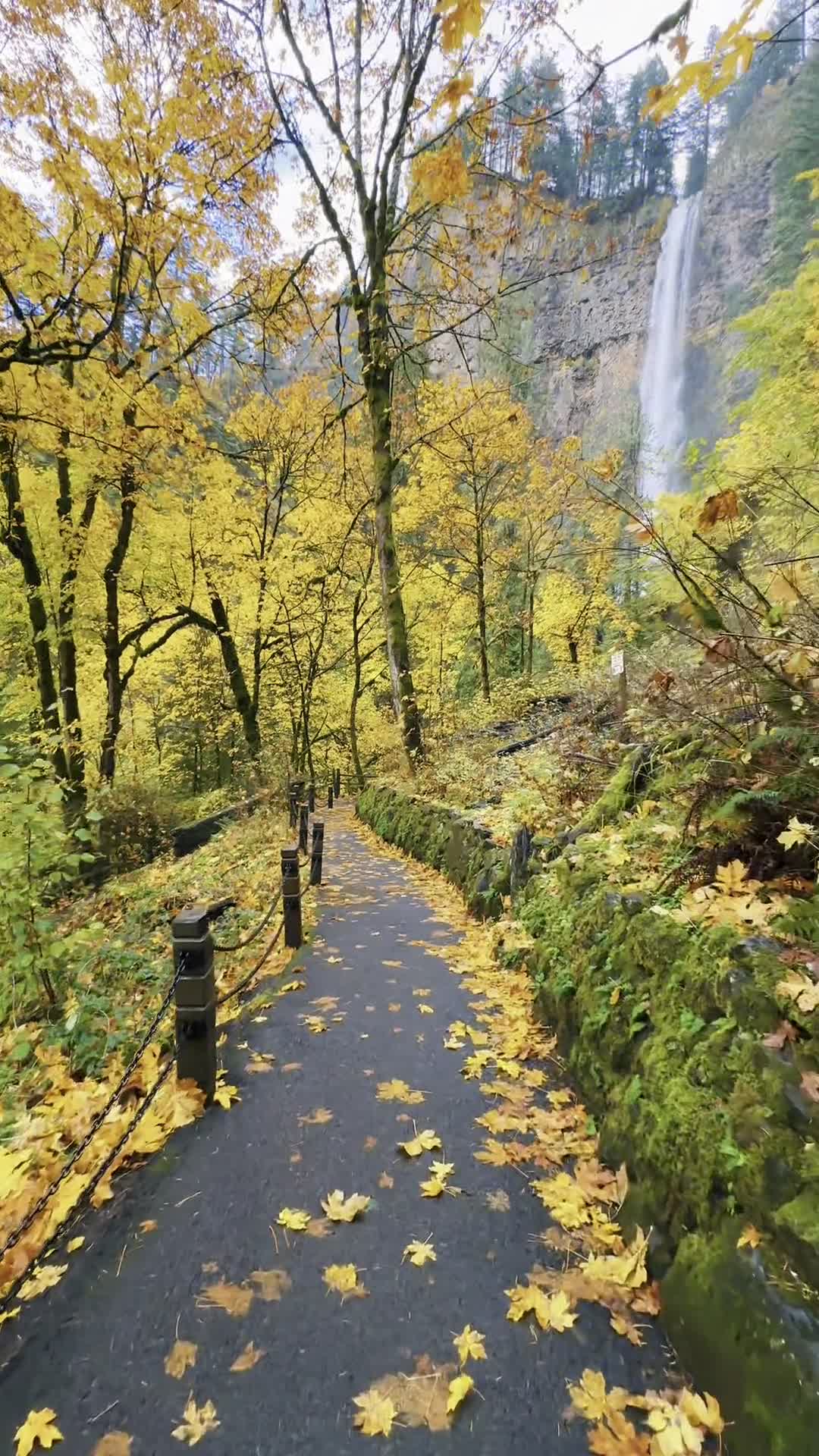 📍Водопад Малтнома, США 🇺🇸