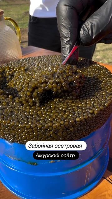 Вкуснейшая икра осетра от Рыбец Краснодар!