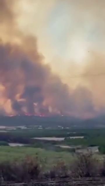В турецкой провинции Текирдаг бушуют мощные пожары. 🔥