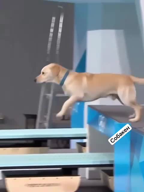 Подпишись 👉 https://vk.com/ykrasheniy_iz_kamny