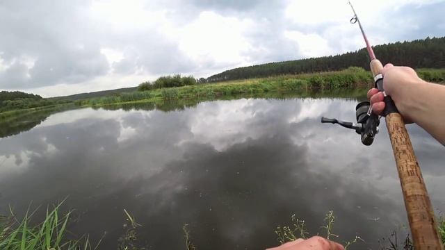 Наловил Карасей И Запустил В Домашний Пруд! Любой Ценой - Сквозь Дождь И Ветер